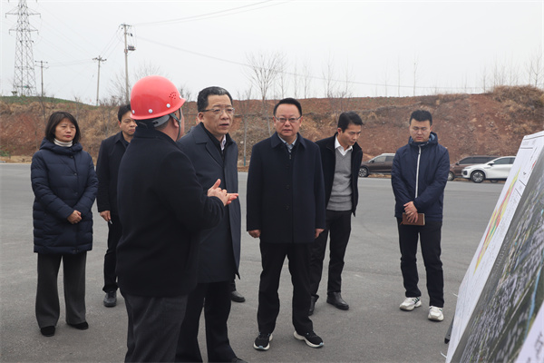 2月6日，黄山市委书记丁纯一行调研富丰新城项目，汪凯书记，洪董陪同。1.jpg