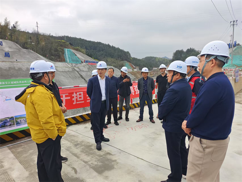 3月27日，县长王奇勇带队调研防洪工程项目建设情况，黄山徽投集团党委书记、董事长洪筱明，副总经理张高峰陪同调研。.jpg