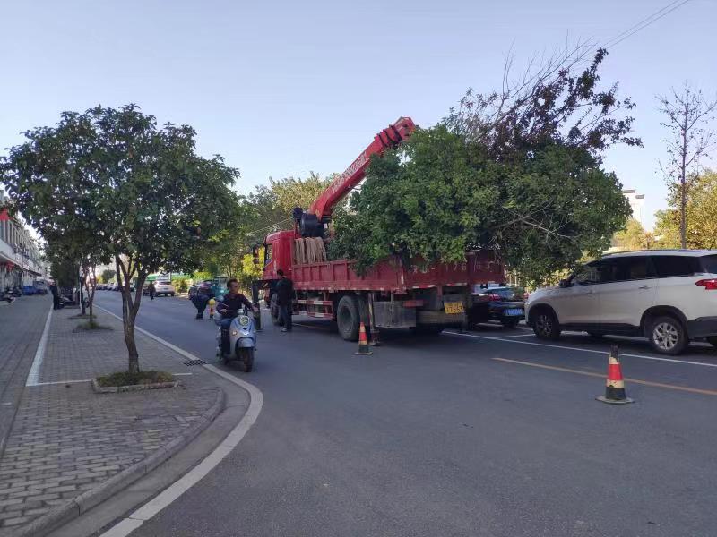 1667953504499465.jpg e44bee2c8f415ae9765287b835da624.jpg