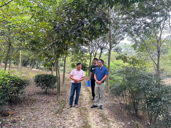 1694048474430566.jpg 开展苗圃检查 完善苗木台账1_副本.jpg