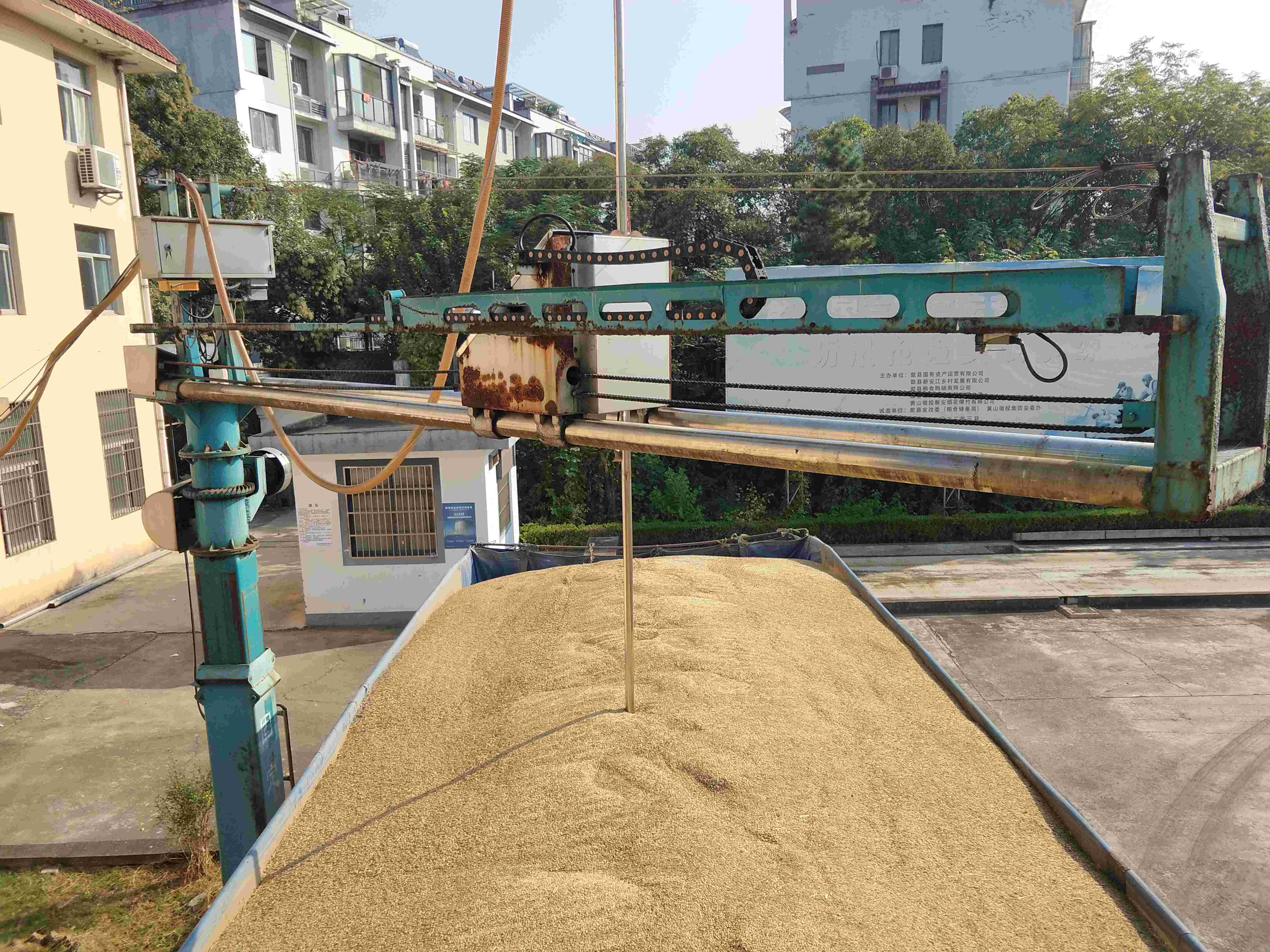 1698806501463024.jpg IMG_20231030_091503(1).jpg