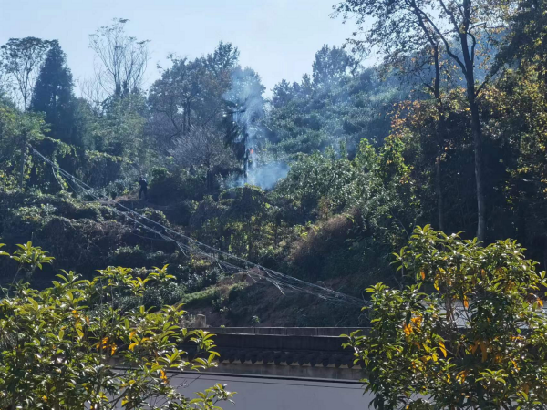 1699408151175131.png 图片1.png